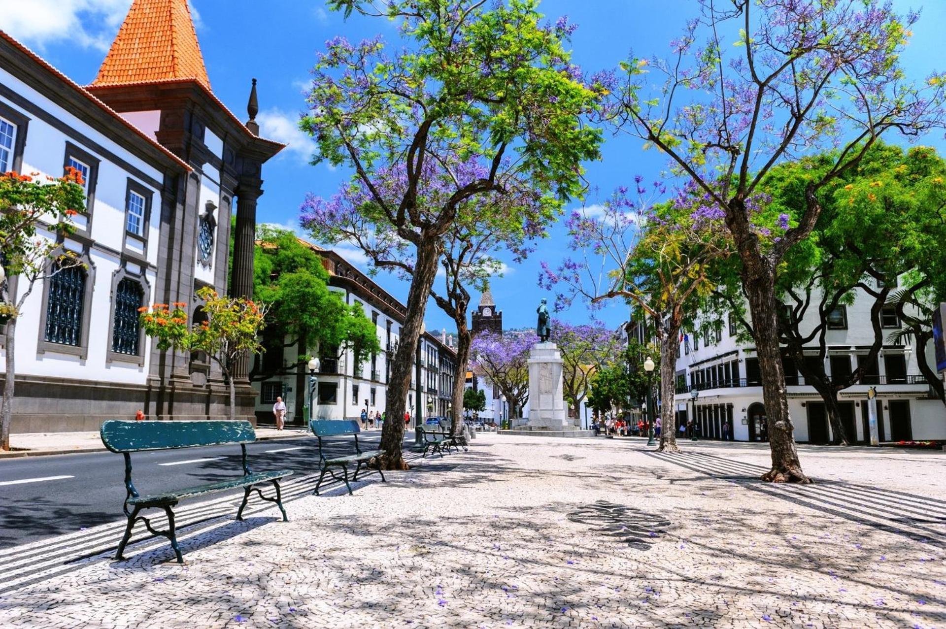 Barreirinha Front-line Sea View I By Hr Madeira Leilighet